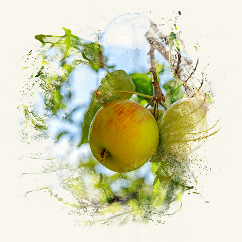 From nature to your glass